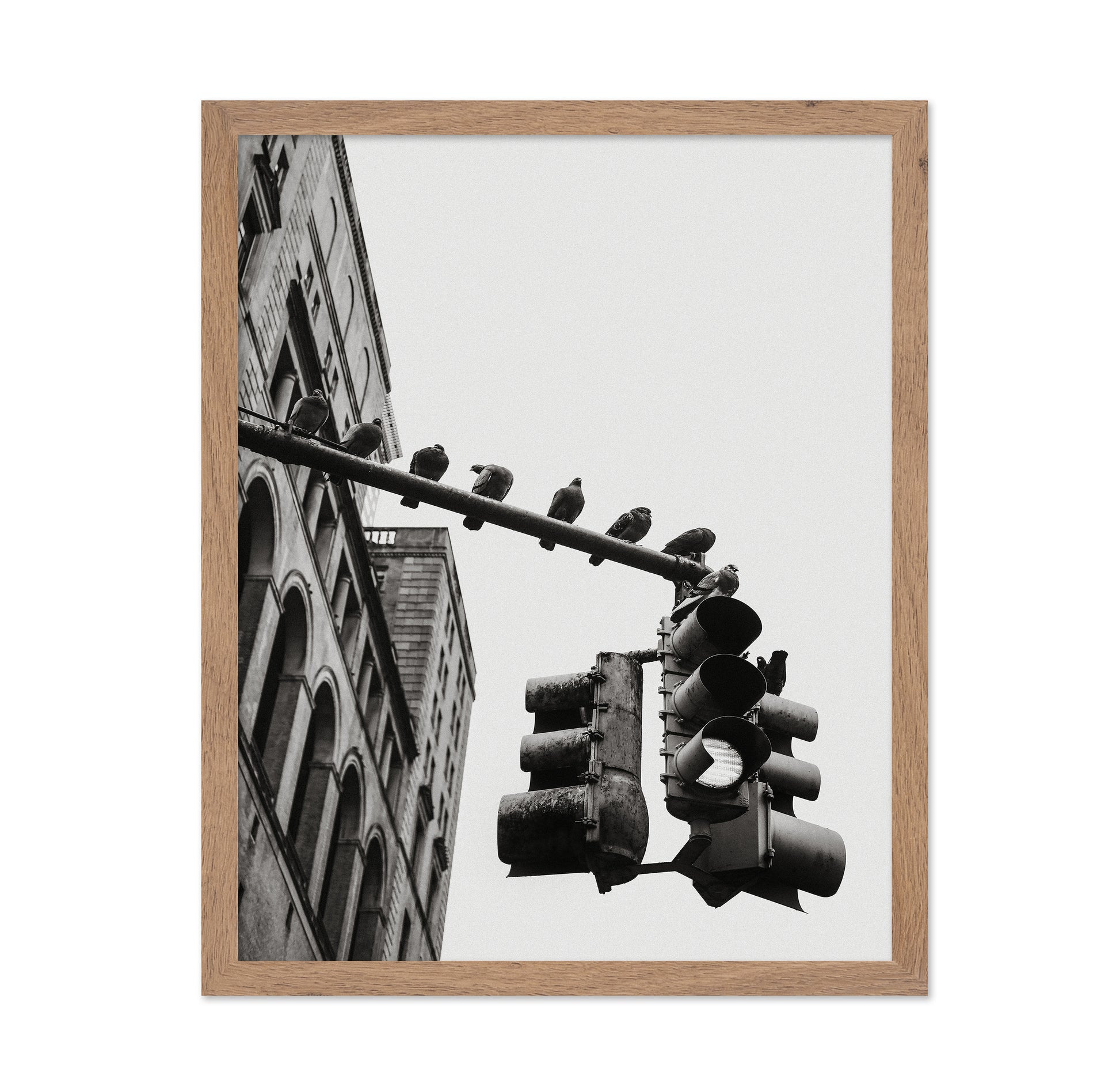 City Doves Line