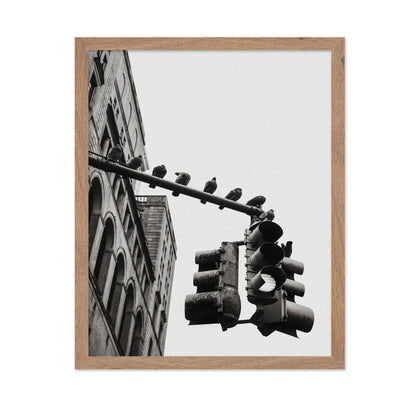 City Doves Line