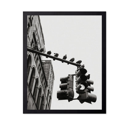 City Doves Line