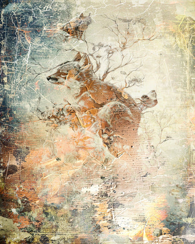Vintage Fox Collage