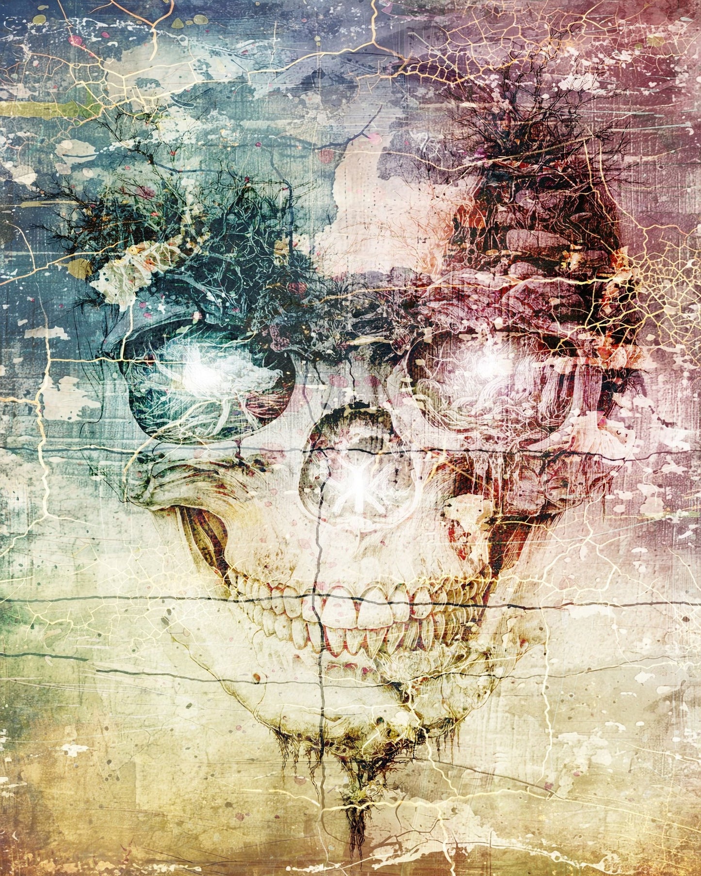 Abstract Skull Art