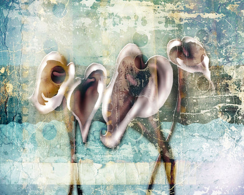 Abstract Calla Forms