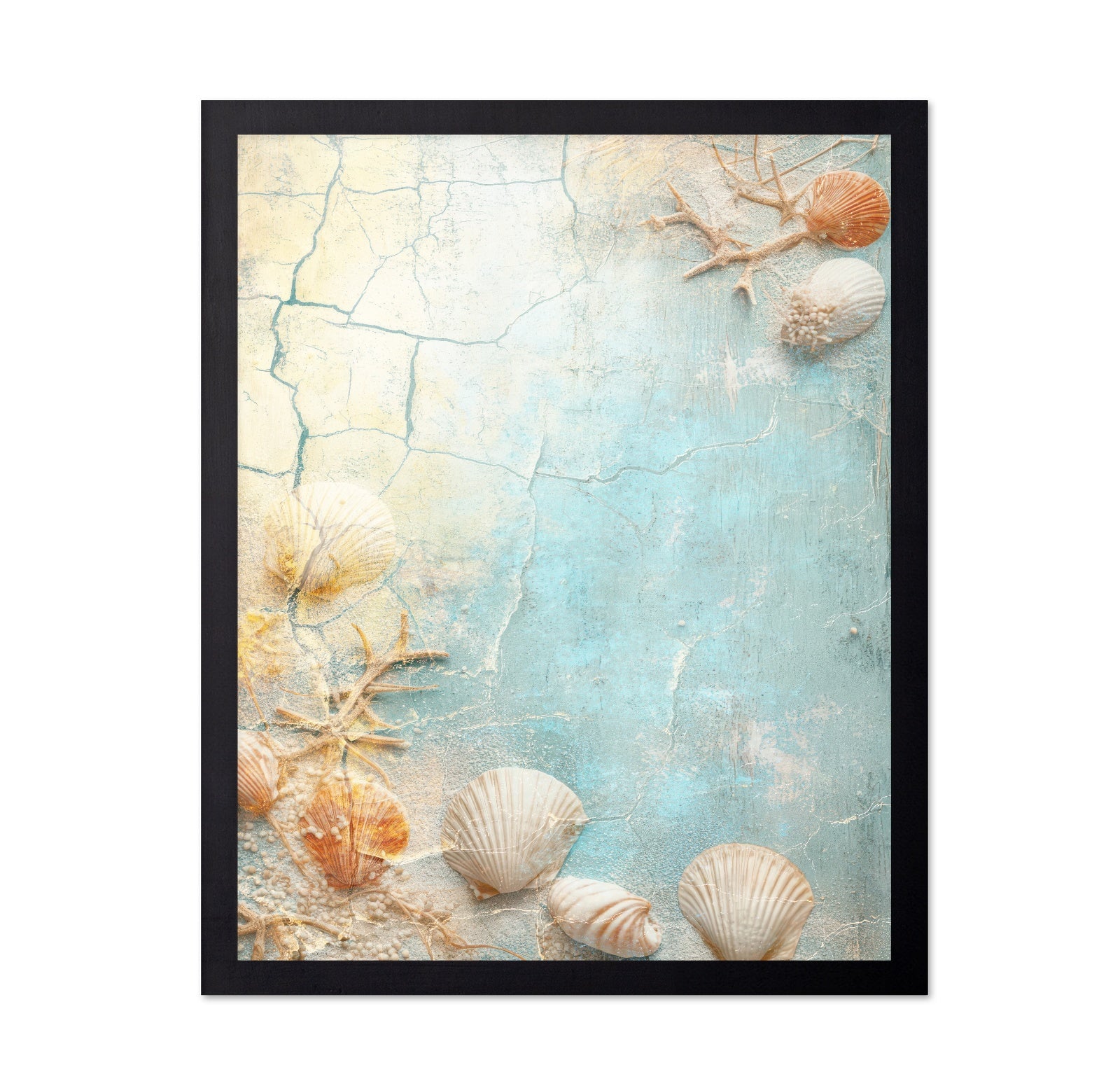 Coastal Shell Texture