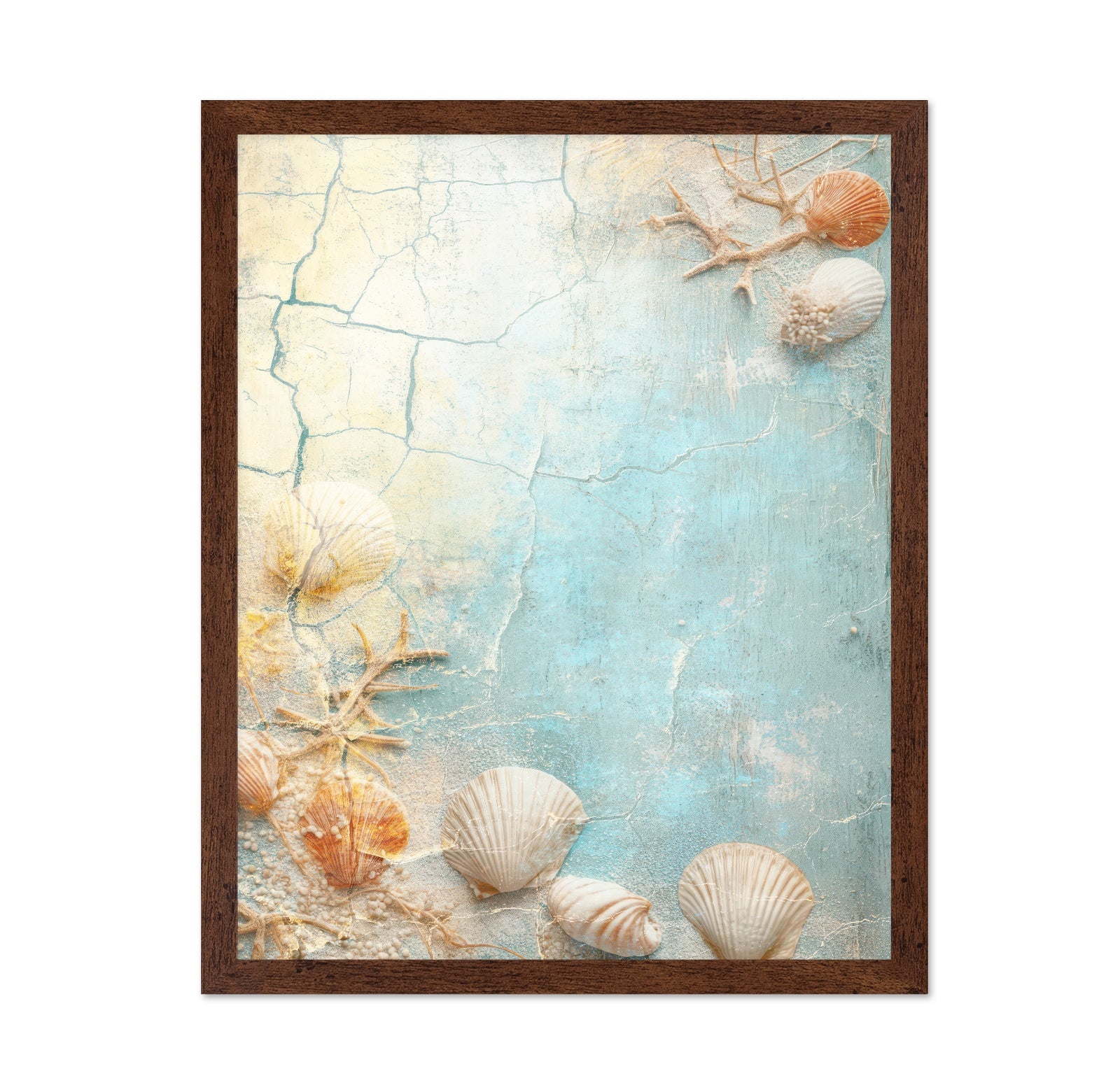 Coastal Shell Texture