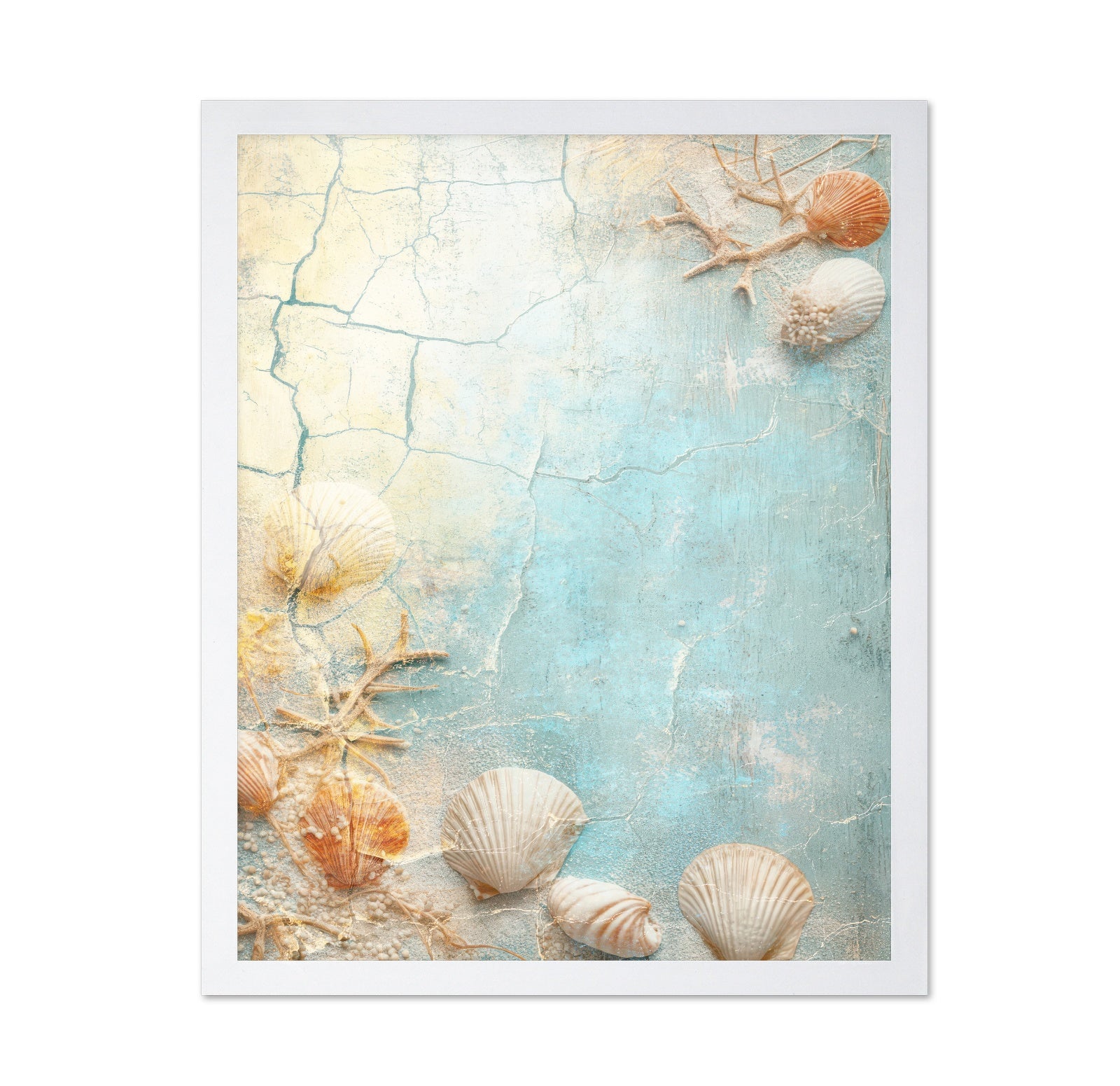 Coastal Shell Texture