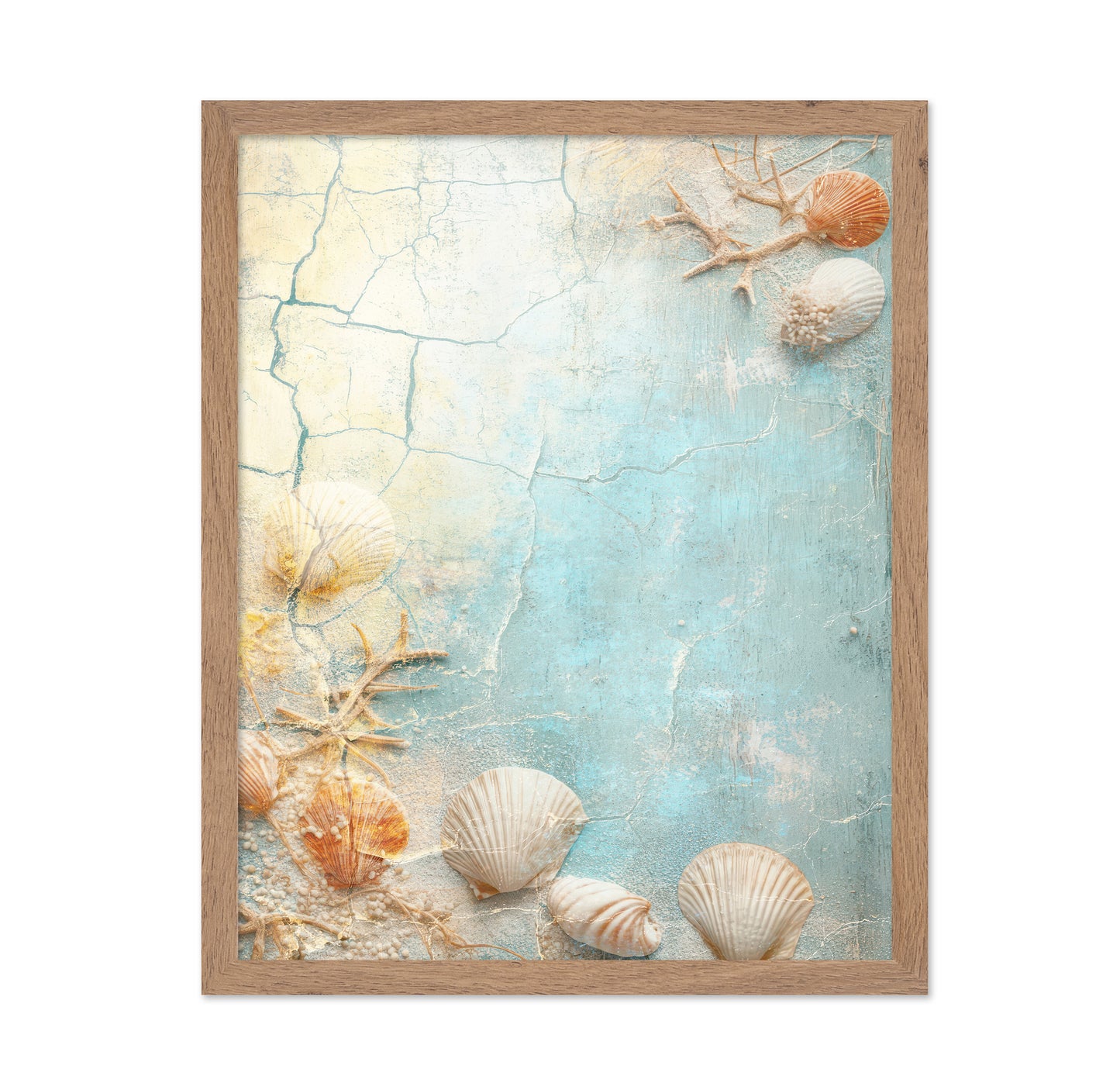 Coastal Shell Texture