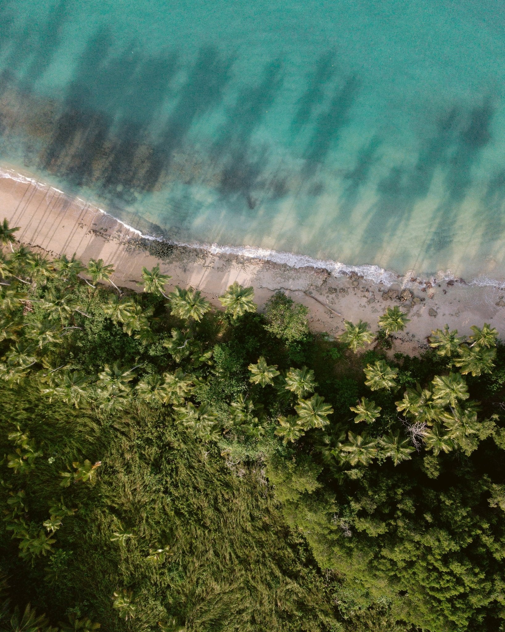 Tropical Beach Aerial