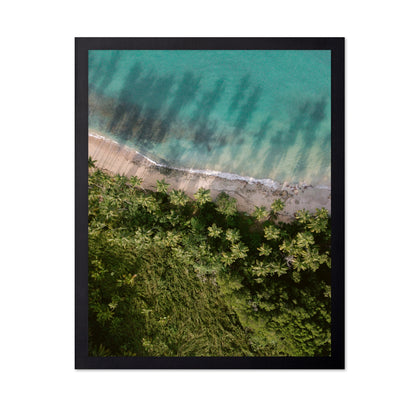 Tropical Beach Aerial