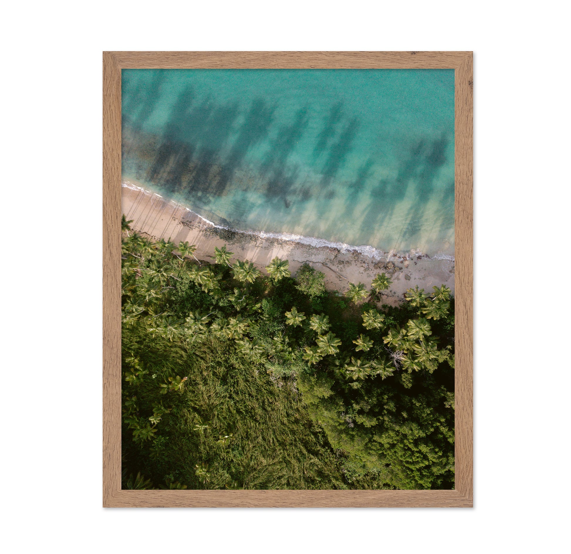 Tropical Beach Aerial