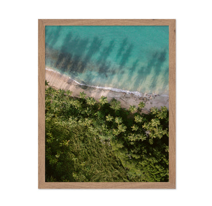 Tropical Beach Aerial