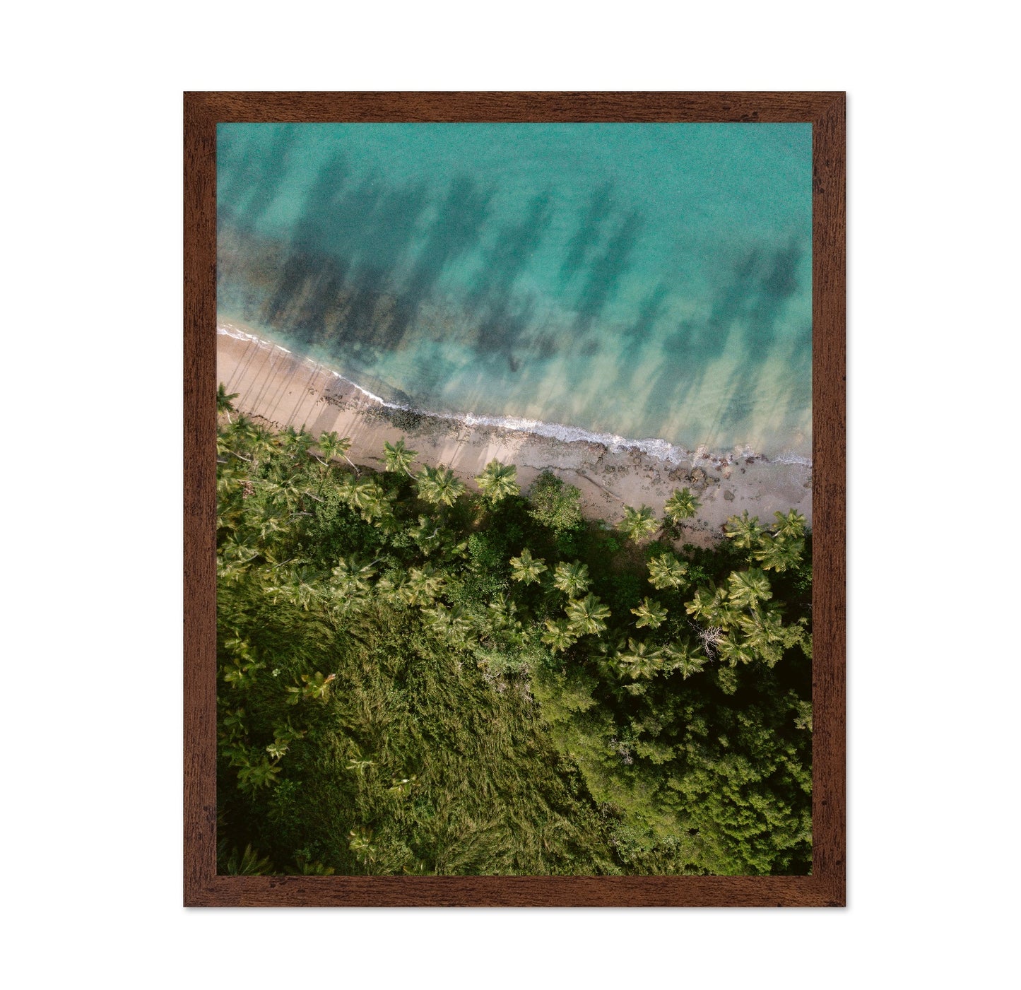 Tropical Beach Aerial