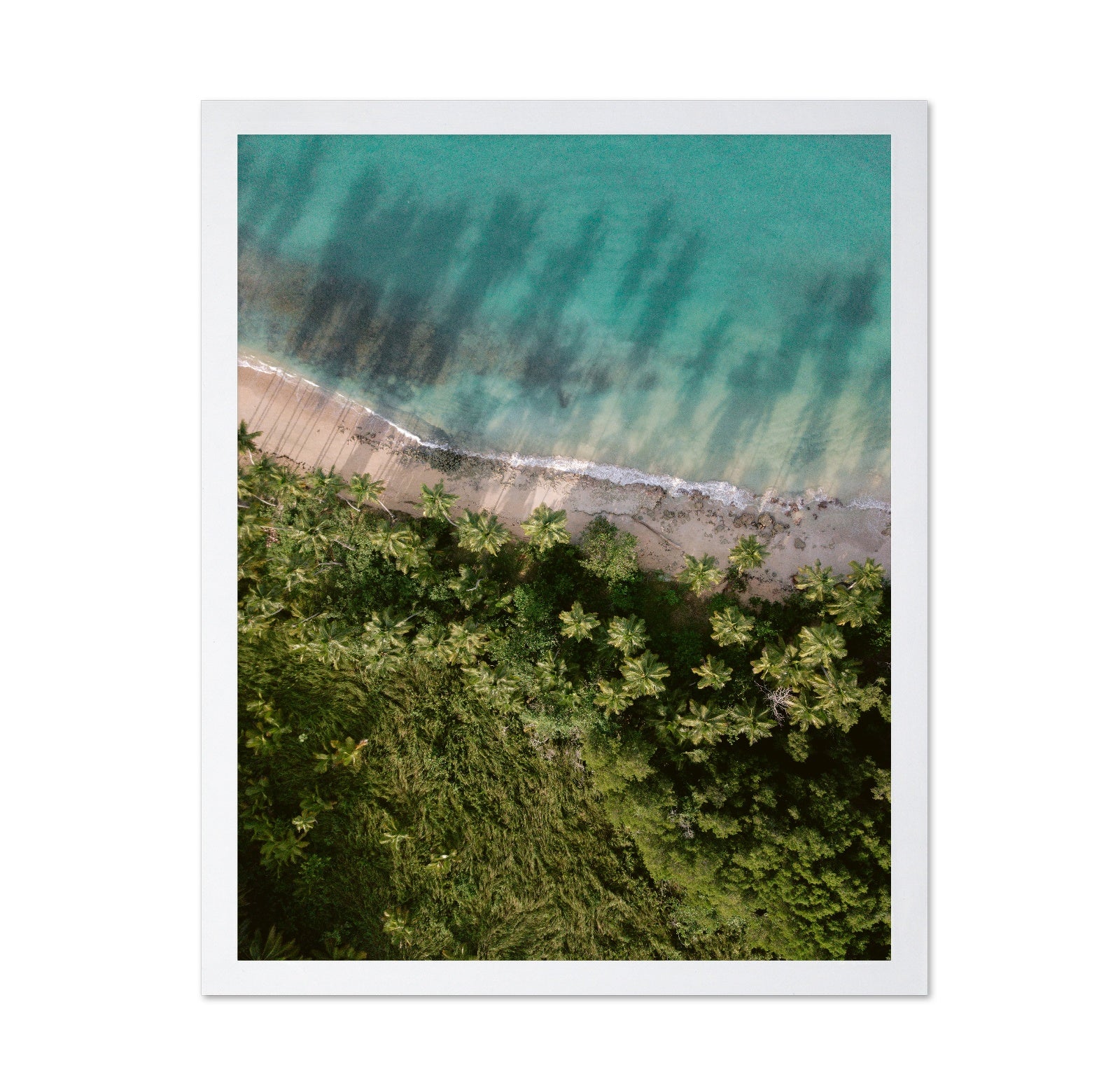 Tropical Beach Aerial