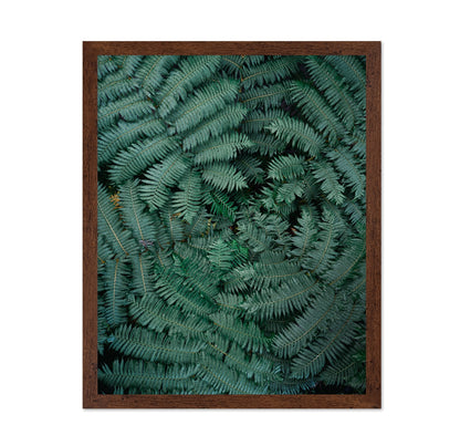 Fern Leaf Pattern