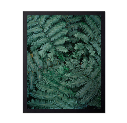 Fern Leaf Pattern