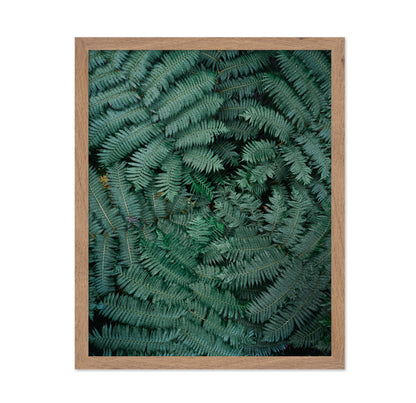 Fern Leaf Pattern