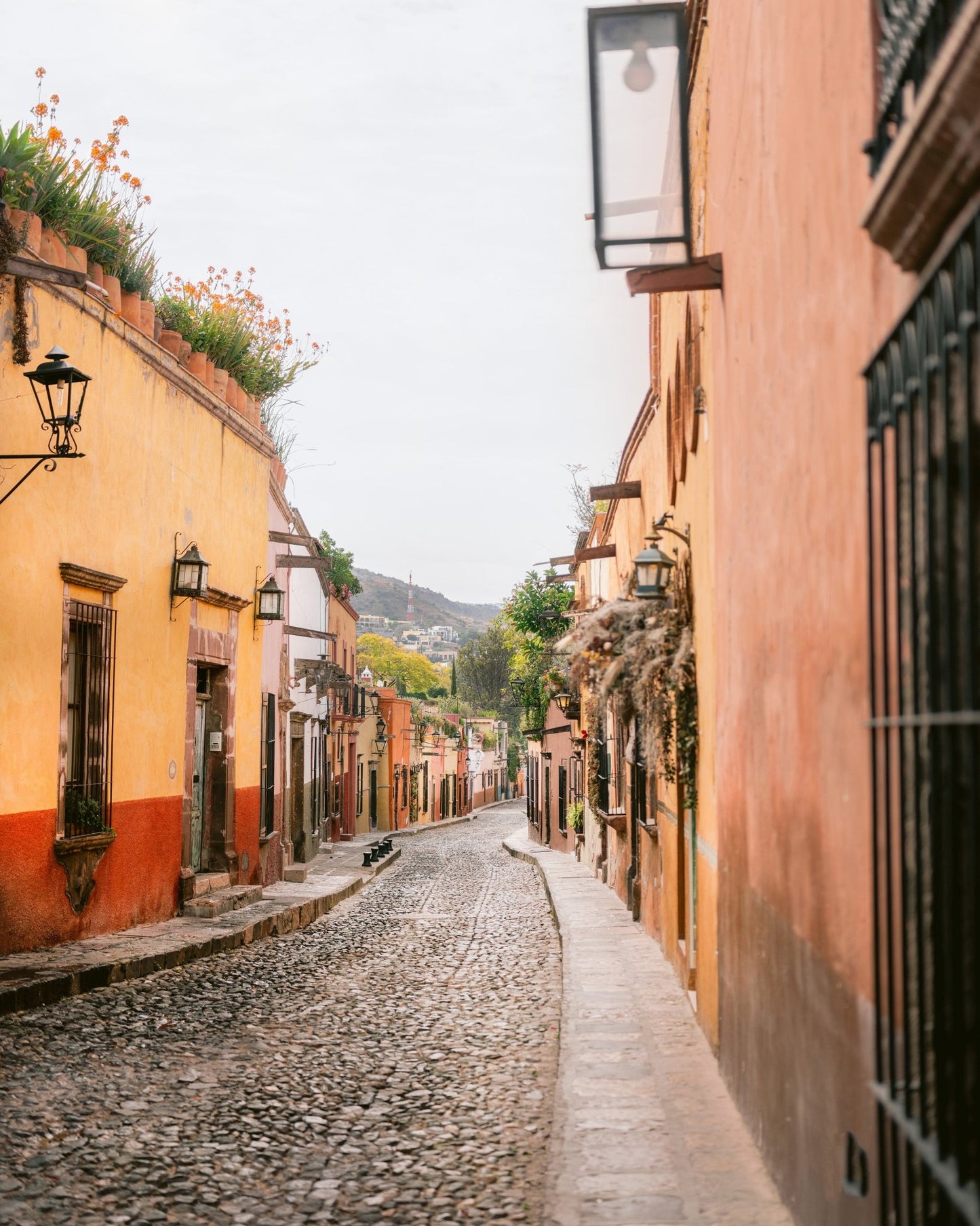San Miguel Street
