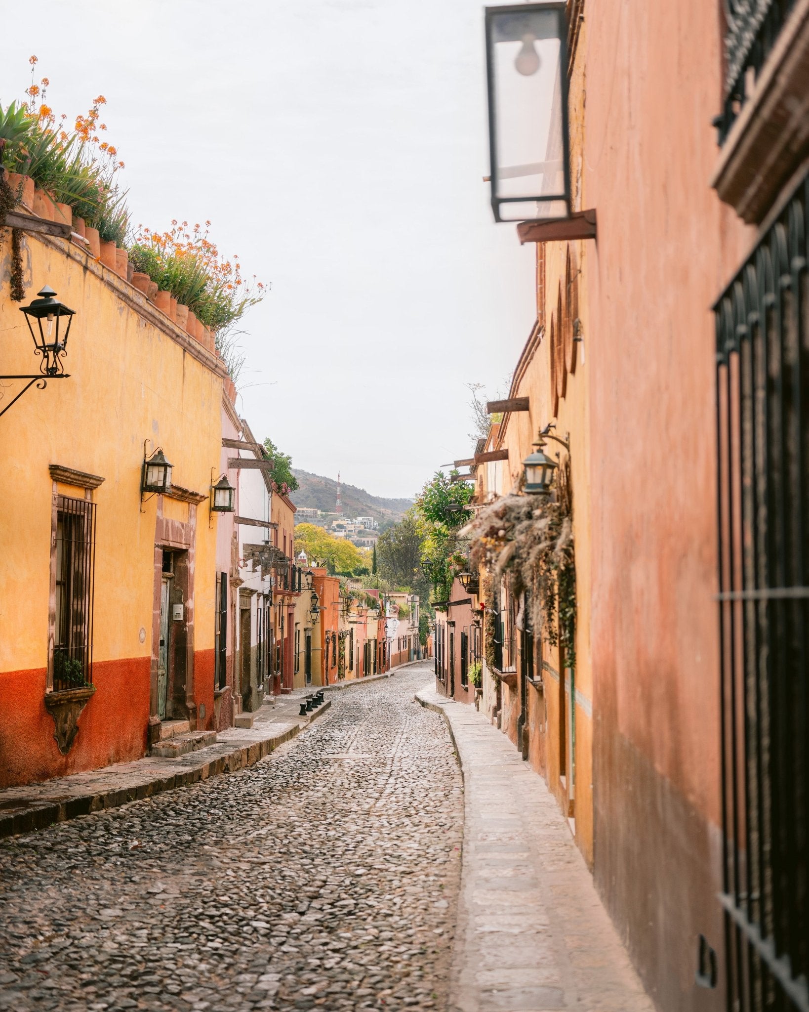 San Miguel Street