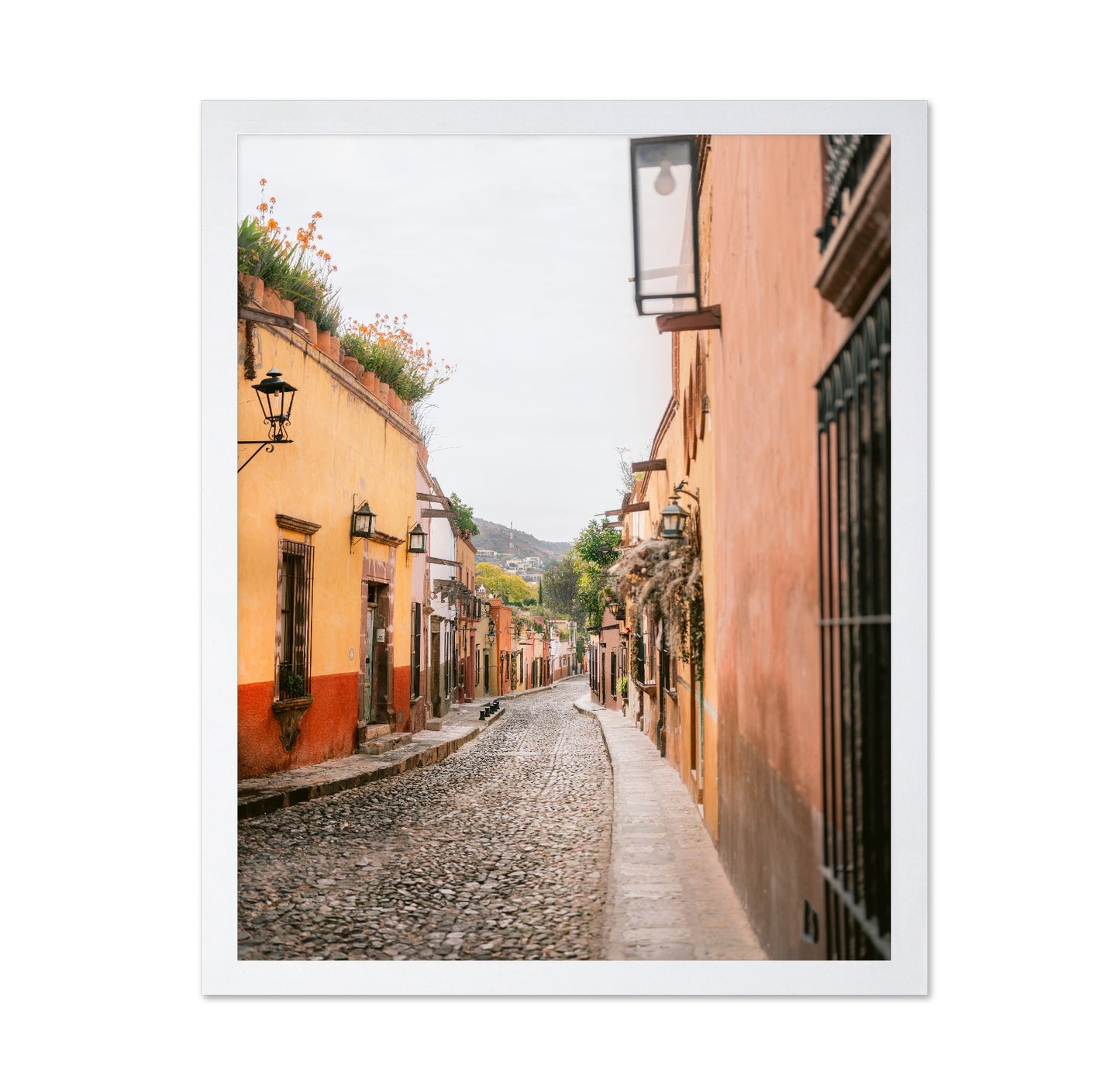 San Miguel Street