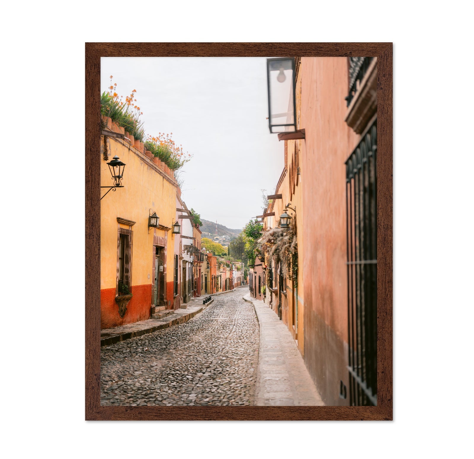 San Miguel Street