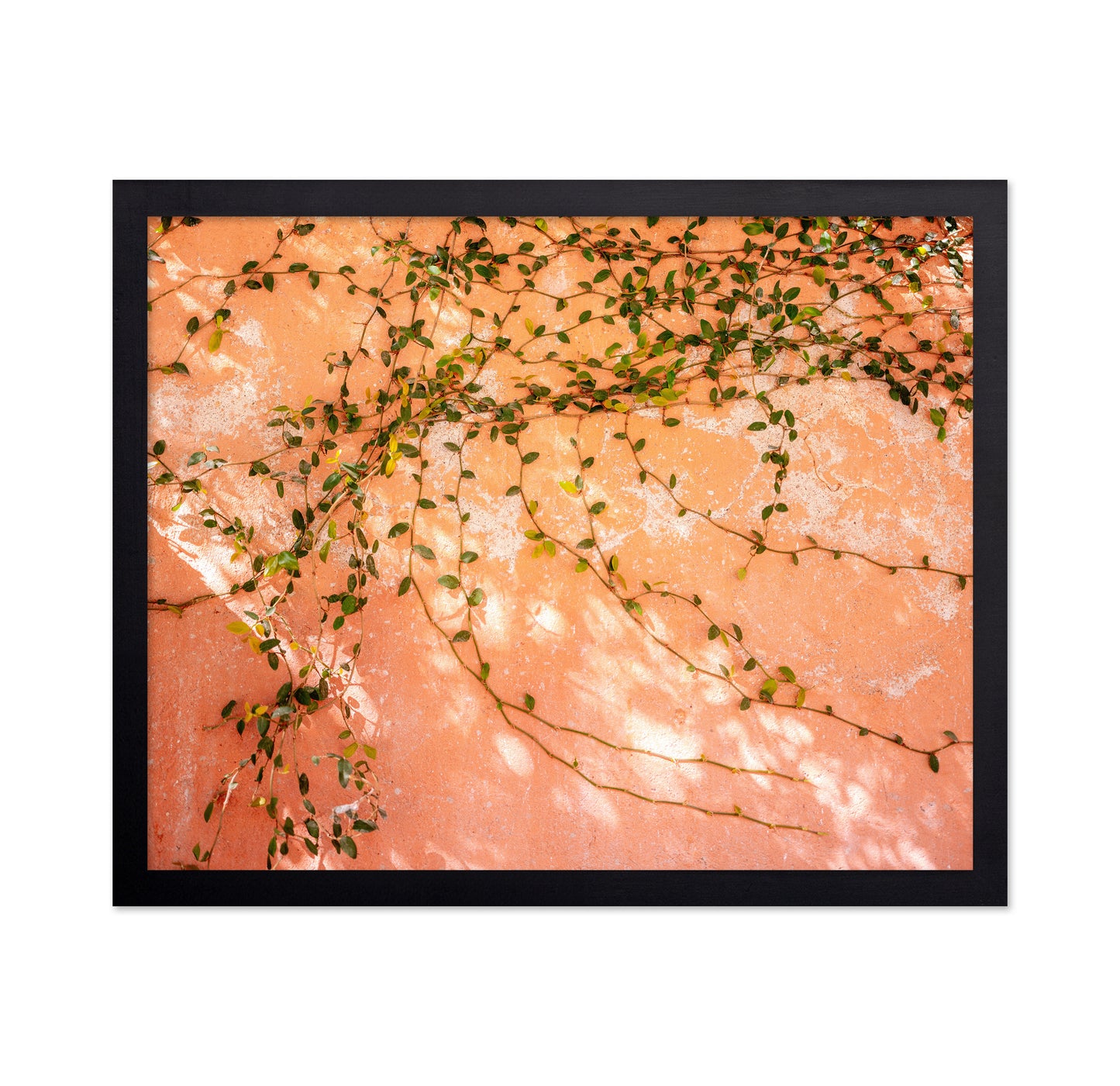 Vine Wall Texture