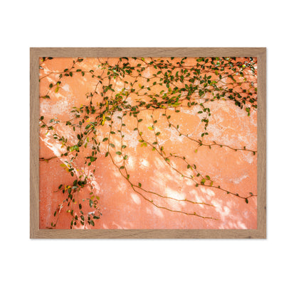 Vine Wall Texture