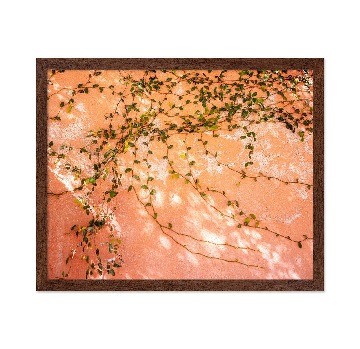 Vine Wall Texture