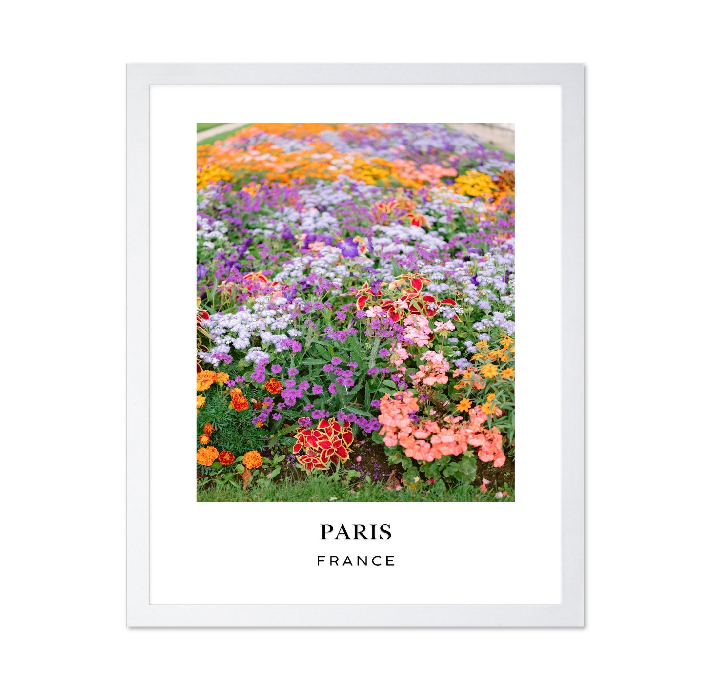 Paris Floral Garden