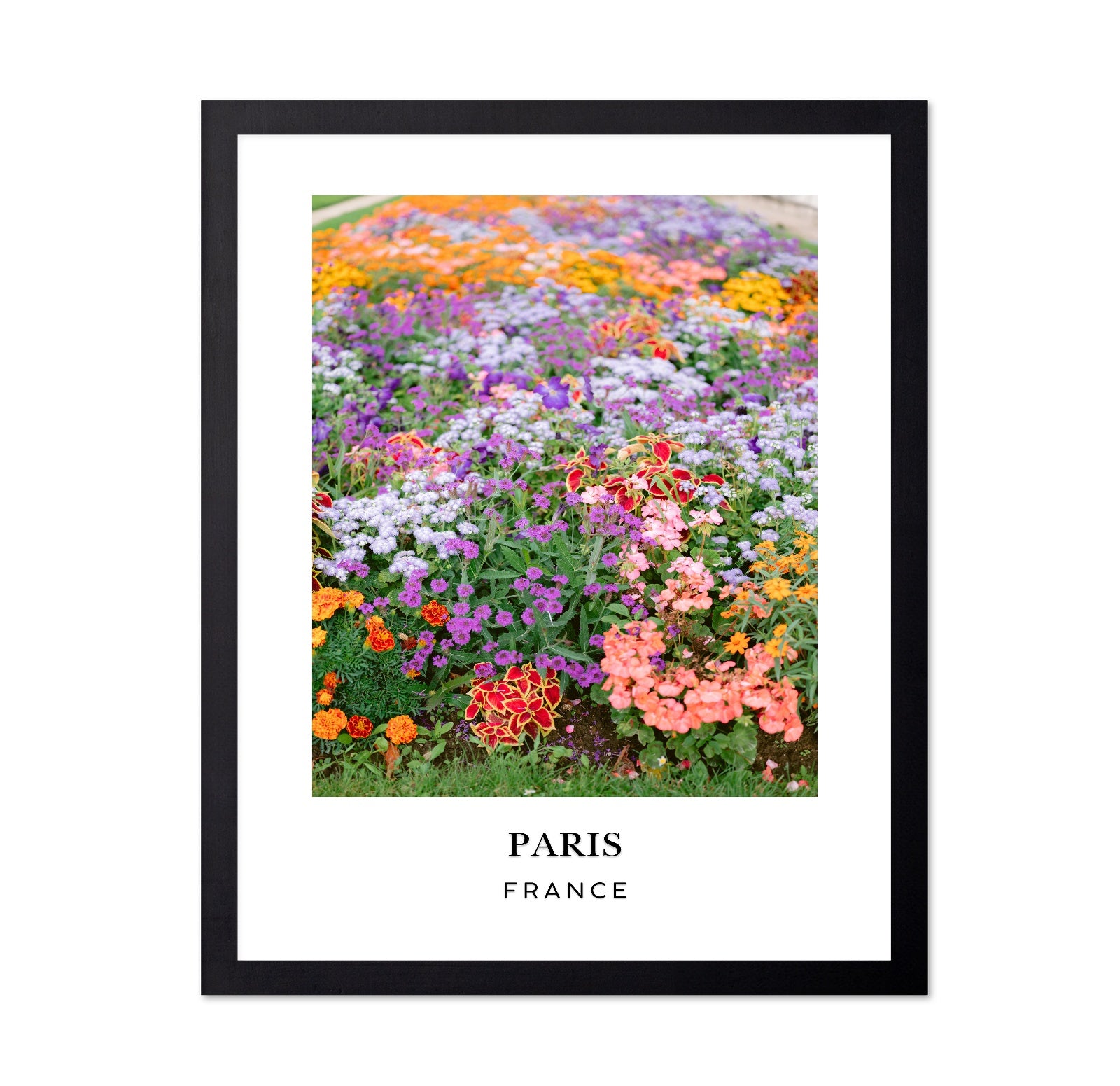 Paris Floral Garden