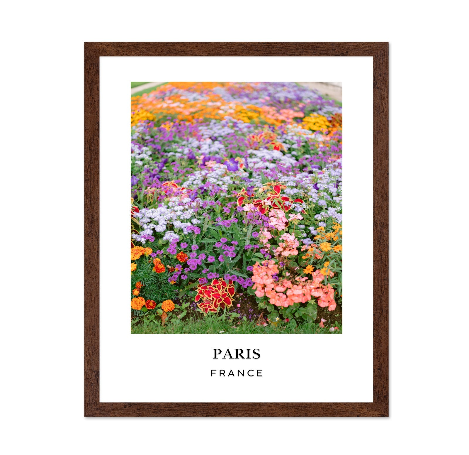 Paris Floral Garden