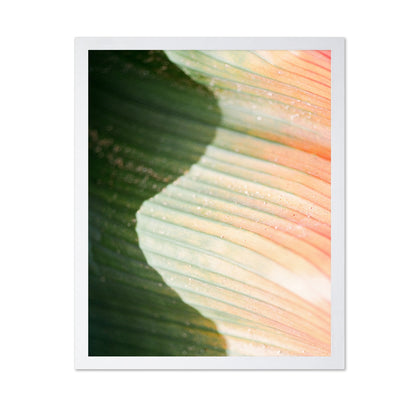 Tropical Leaf Texture No2