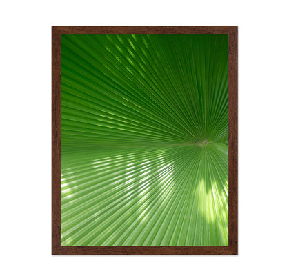 Green Palm Fan