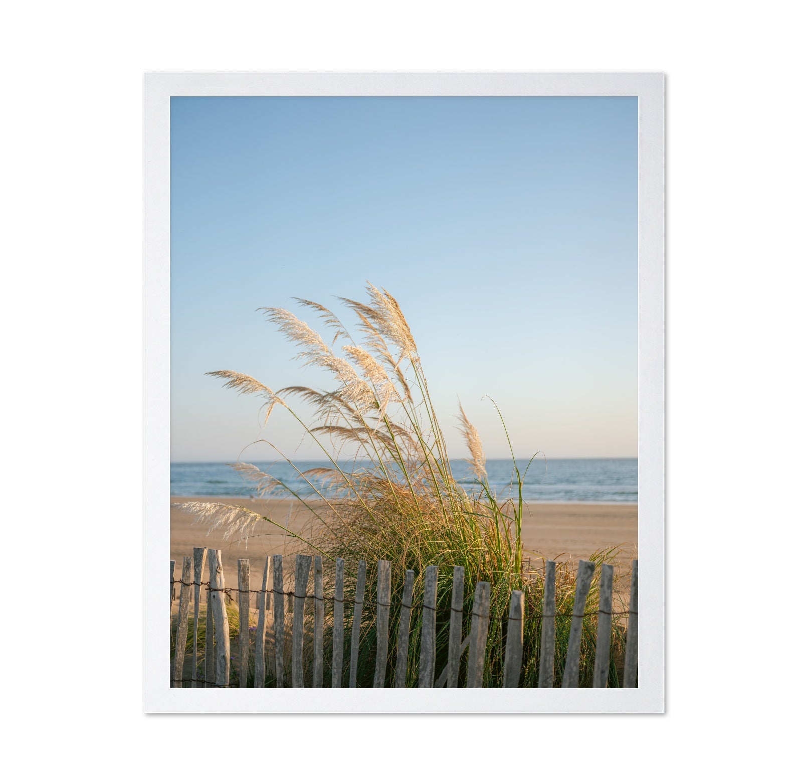 Morocco Coastal Breeze
