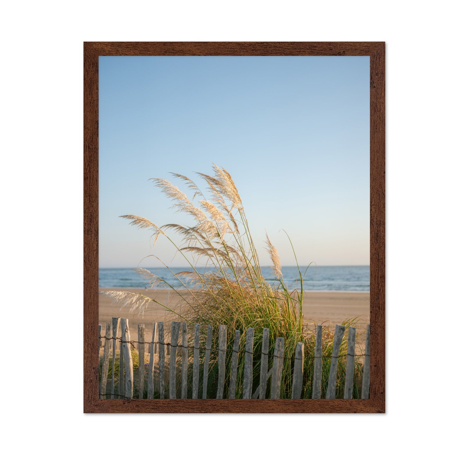 Morocco Coastal Breeze