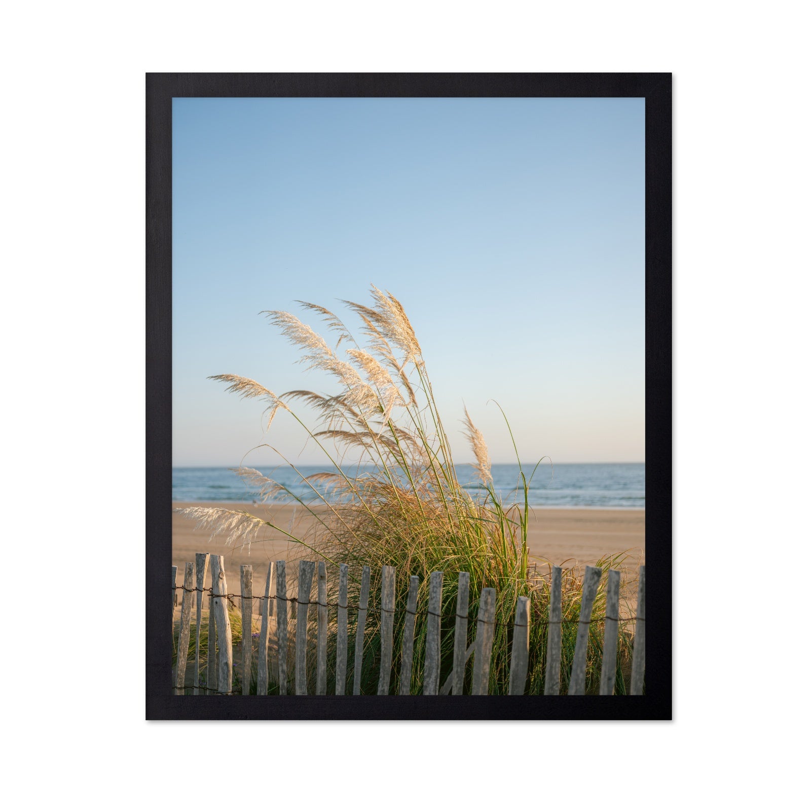 Morocco Coastal Breeze