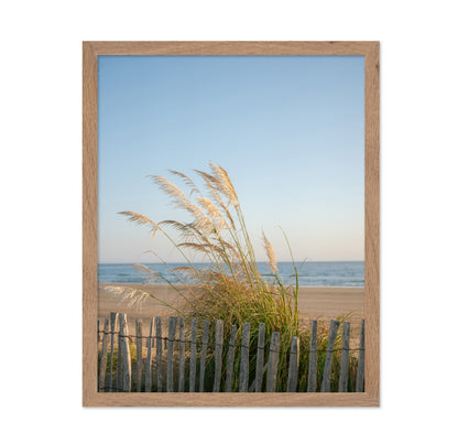 Morocco Coastal Breeze