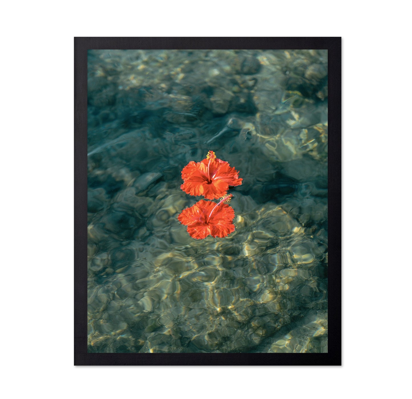 Crimson Hibiscus Drift