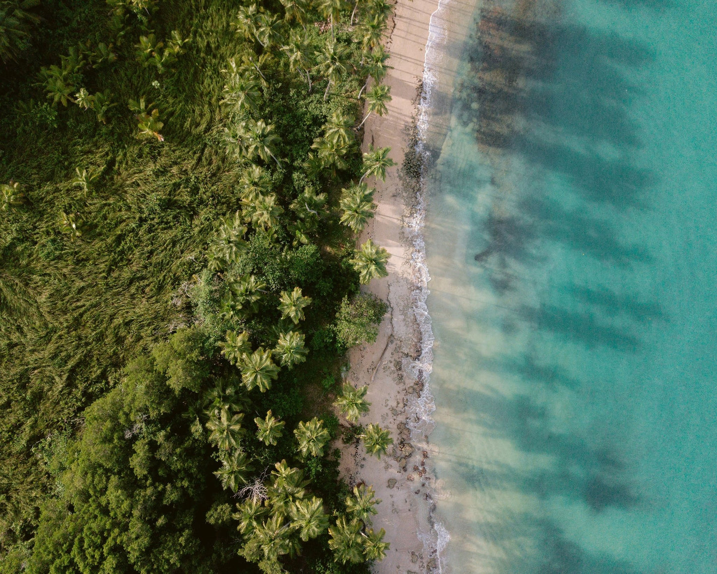 Tropical Coast Aerial