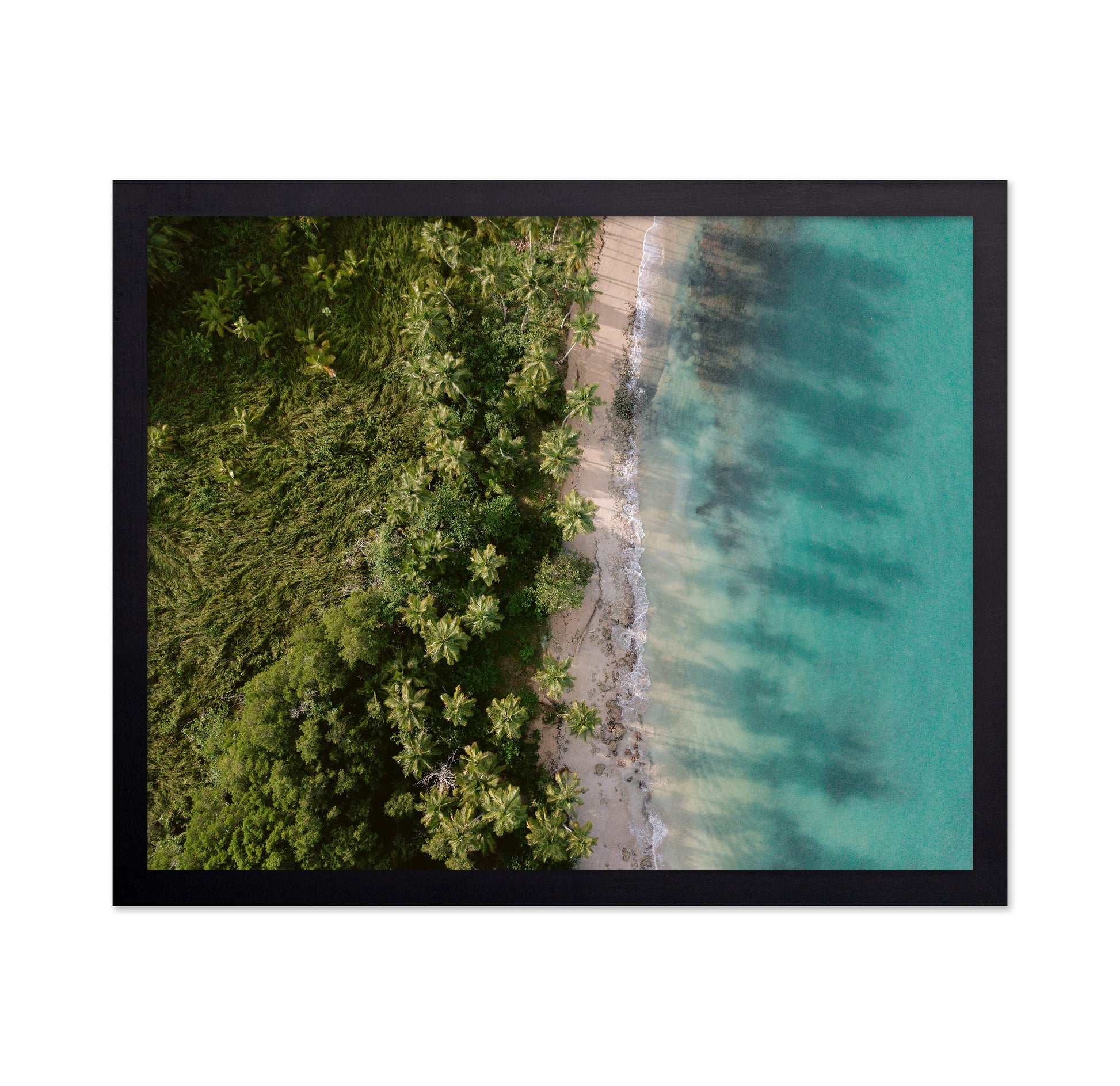 Tropical Coast Aerial