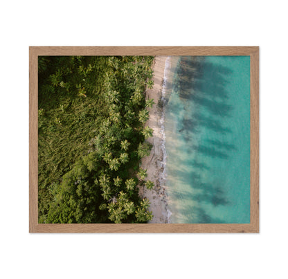 Tropical Coast Aerial