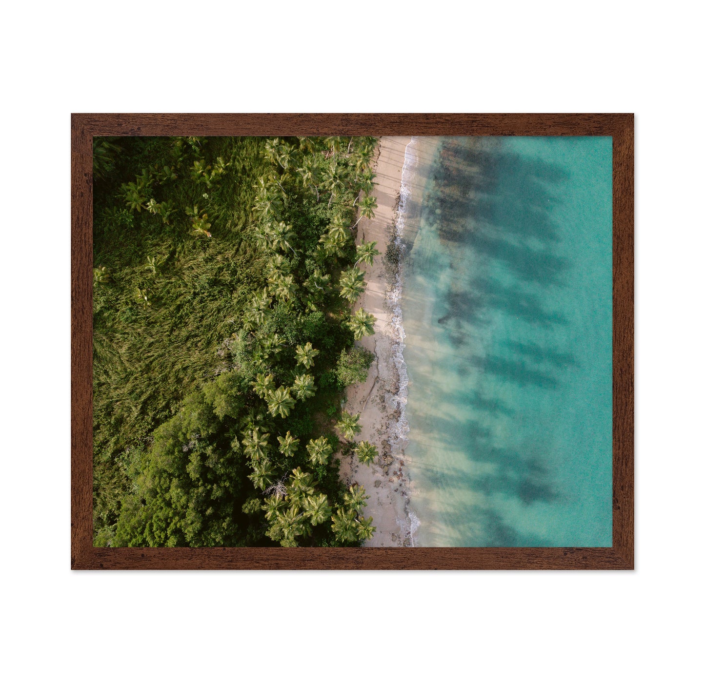 Tropical Coast Aerial