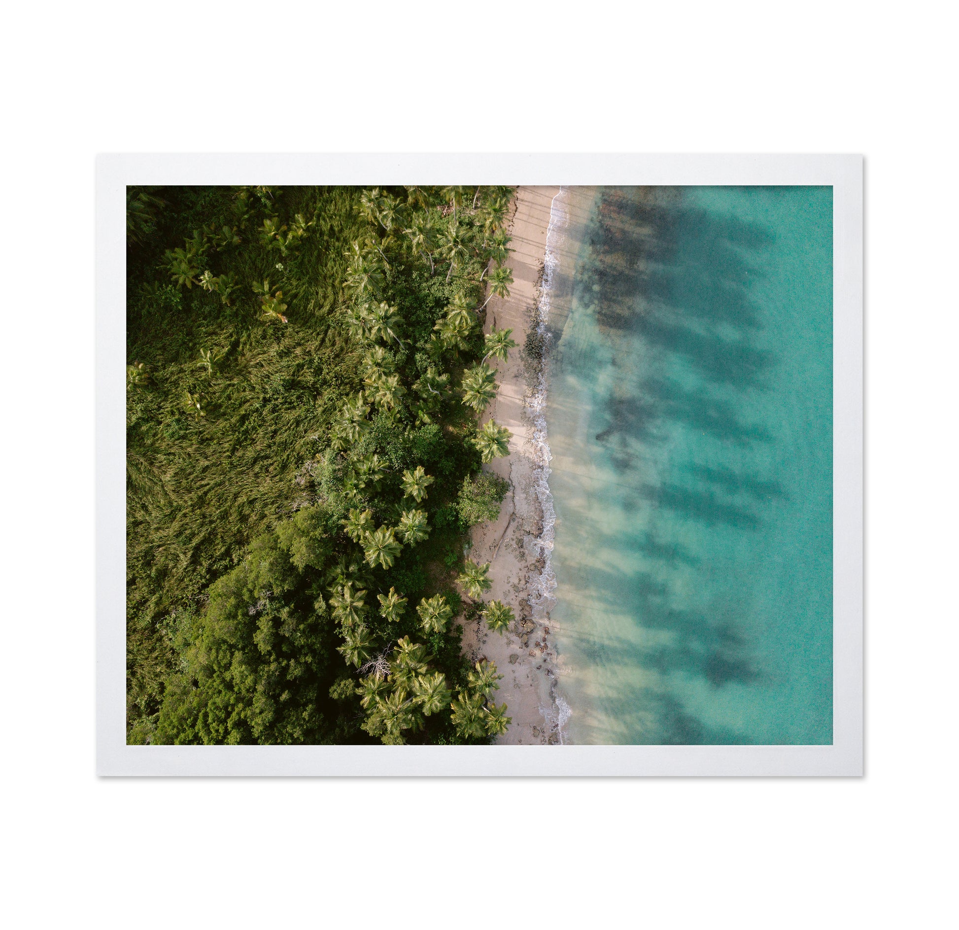 Tropical Coast Aerial