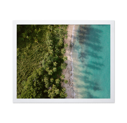 Tropical Coast Aerial