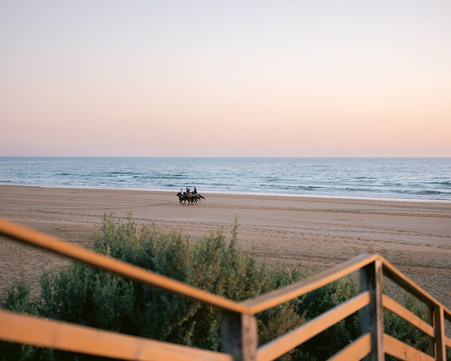 Beach Horse Ride