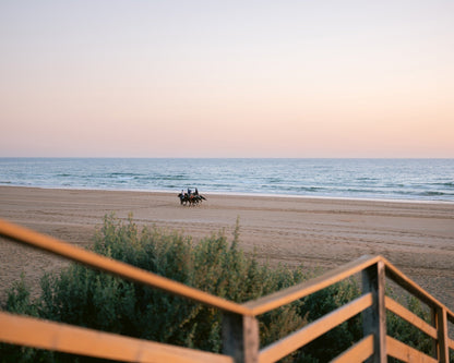 Beach Horse Ride