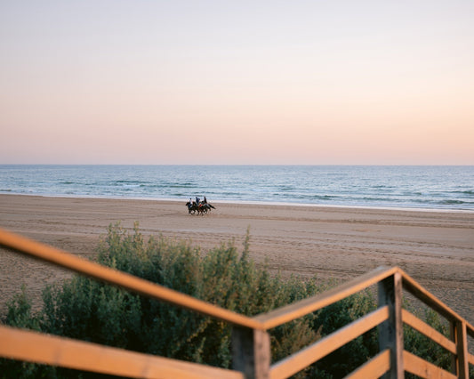 Beach Horse Ride