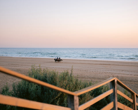 Beach Horse Ride