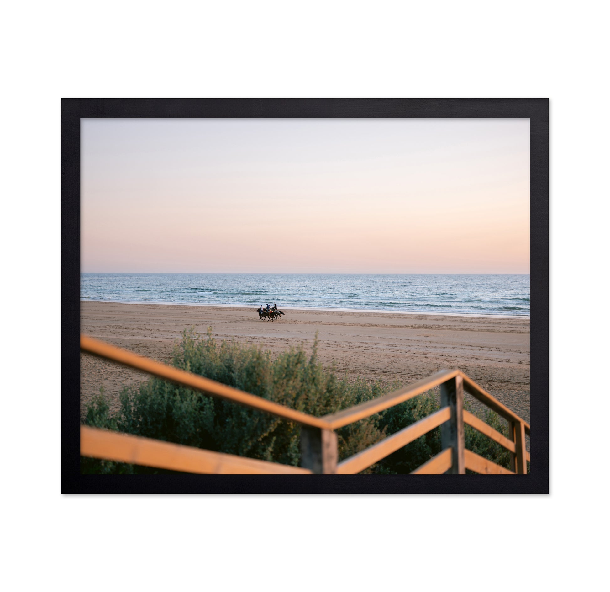Beach Horse Ride