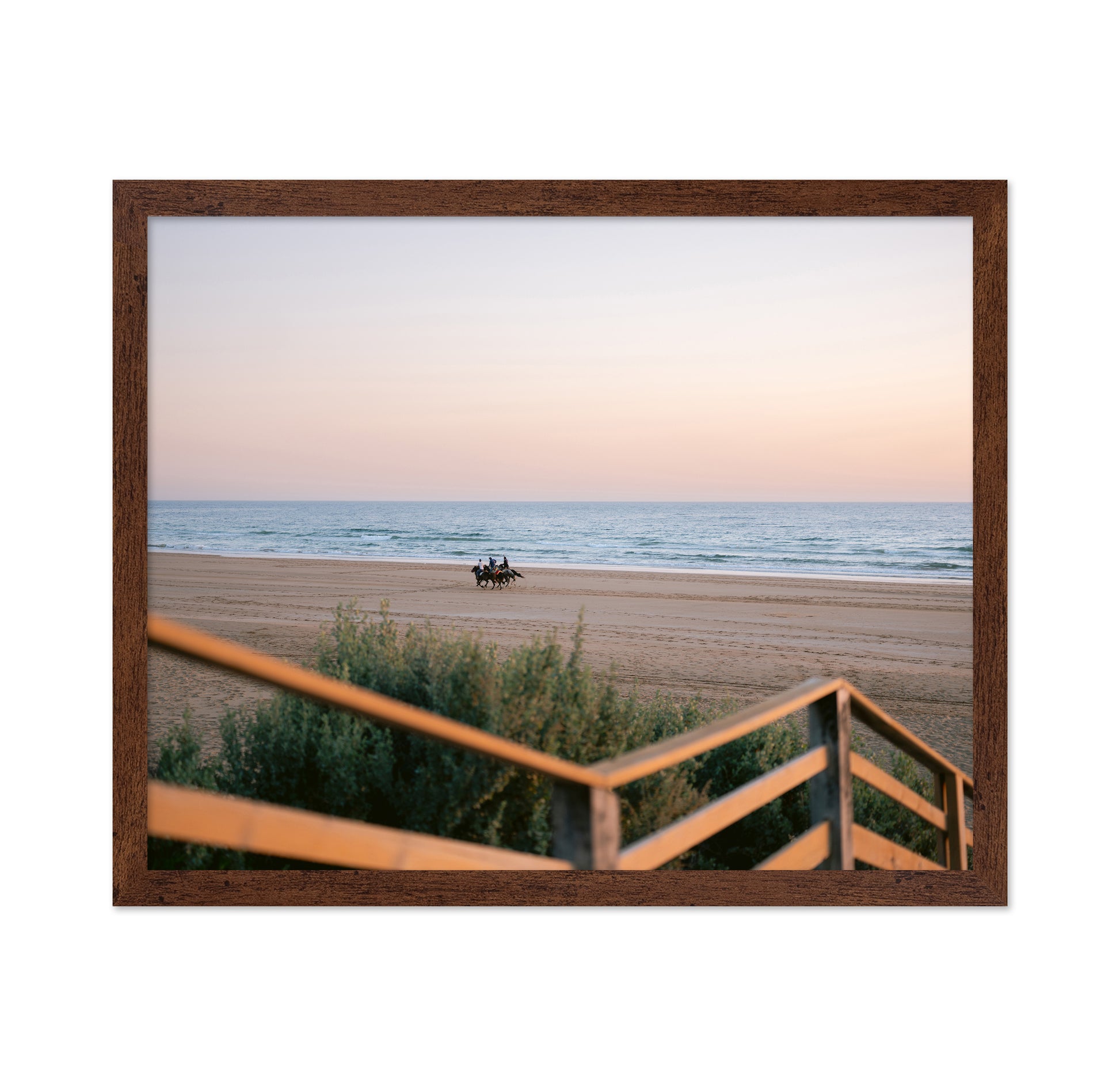 Beach Horse Ride