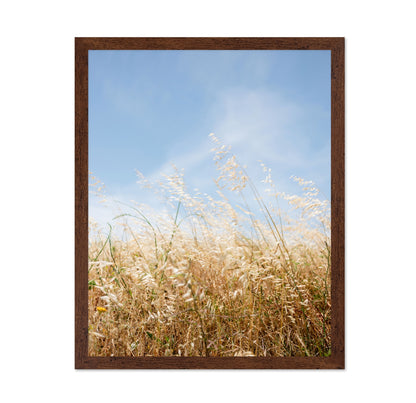 Golden Field Breeze