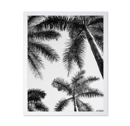Palm Sky View No1